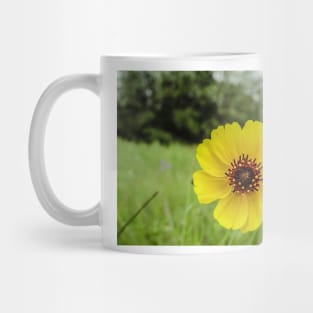 32218 yellow buttercup Mug